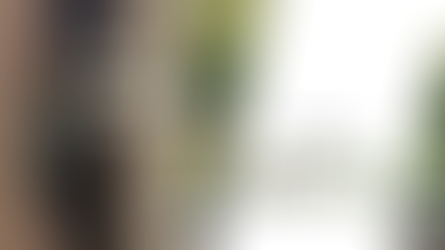 View through a closed glass door of trees beyond. Text reads The Little Princess and the meeting