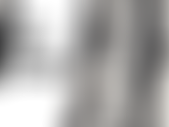 Text "NOT FOR ZEBRAS LIKE YOU" over zebra print. Black and white color scheme. Bold, striking design.