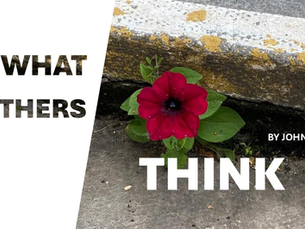 A red flower with green leaves growing through the crack in a pavement. text reads what Others think by John Baker