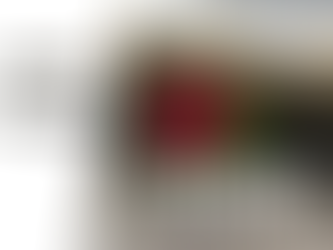 A red flower with green leaves growing through the crack in a pavement. text reads what Others think by John Baker