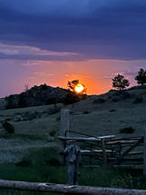 sun rise corral.JPEG