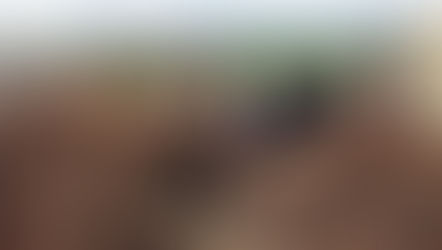 Help Wanted.  We offer flexible scheduling and a fun work environment.  We will train! 