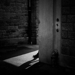 © Patrick D