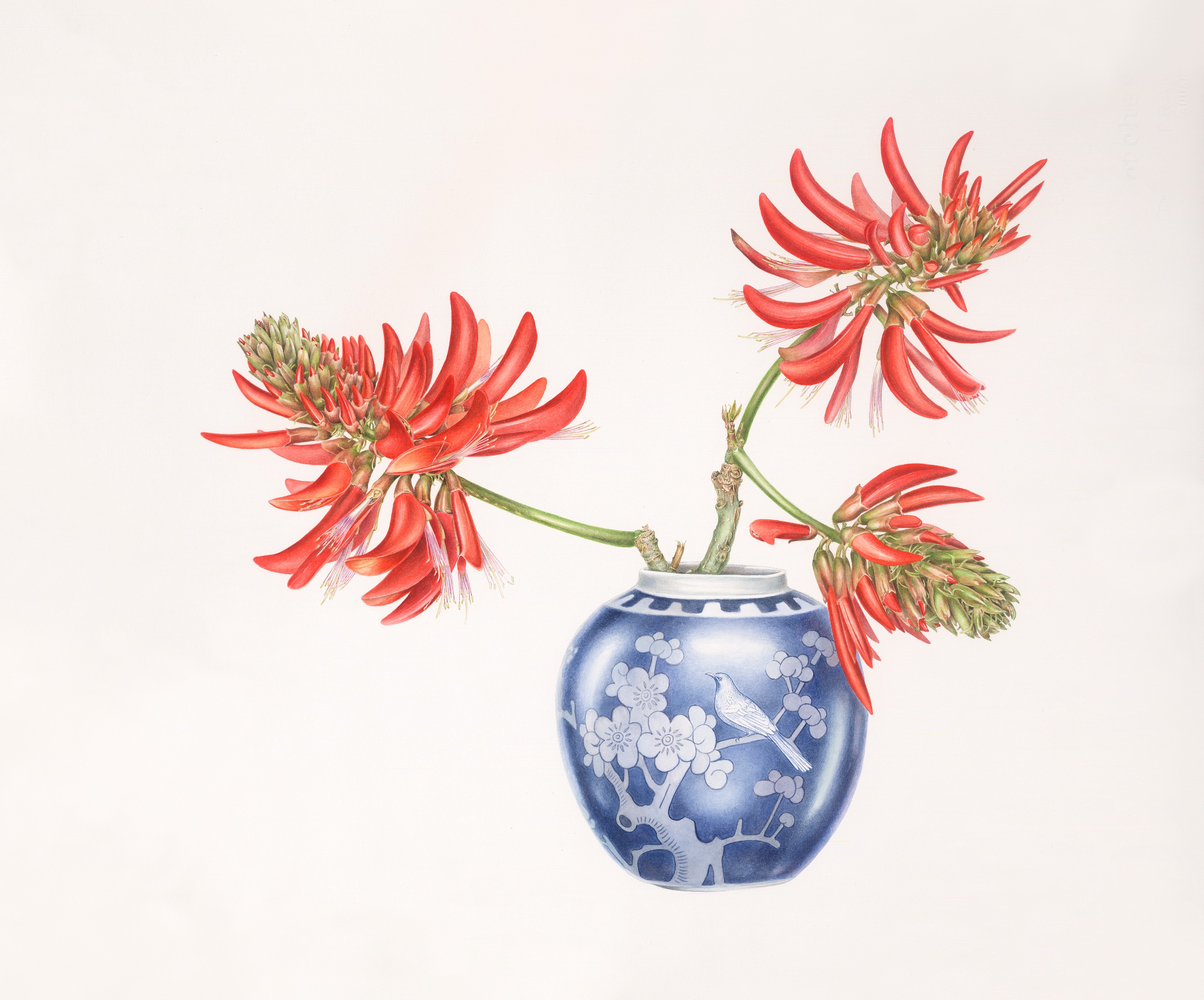 Coral tree and ginger jar