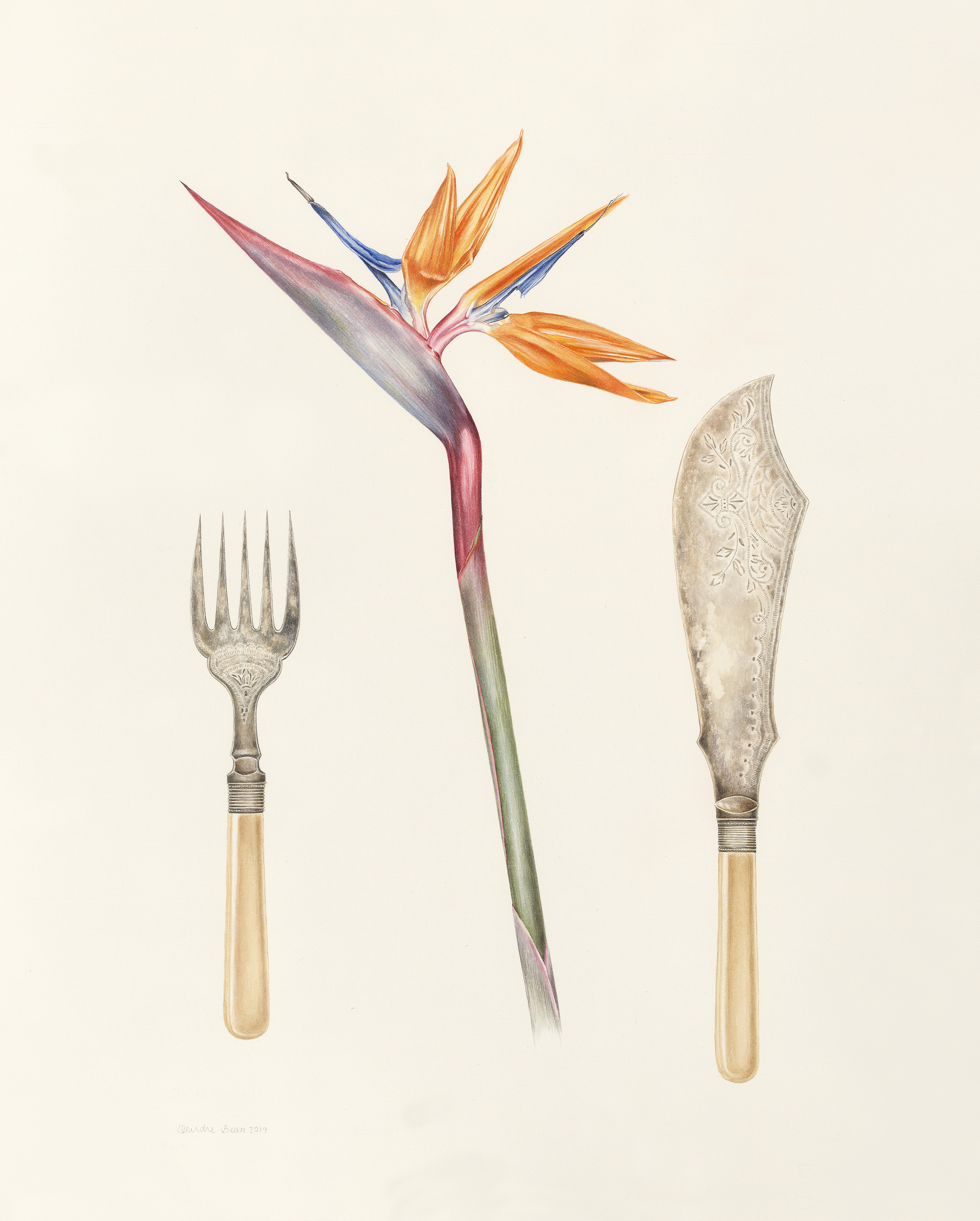 Strelitzia and fish servers