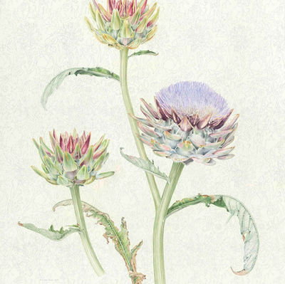 A picture of the artwork.