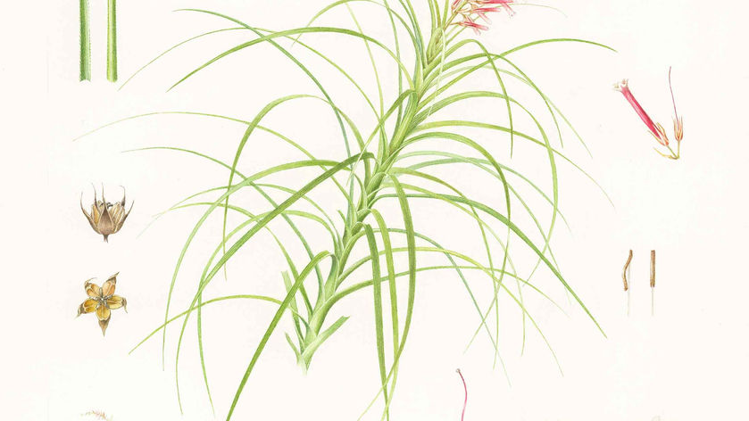 A picture of the artwork.