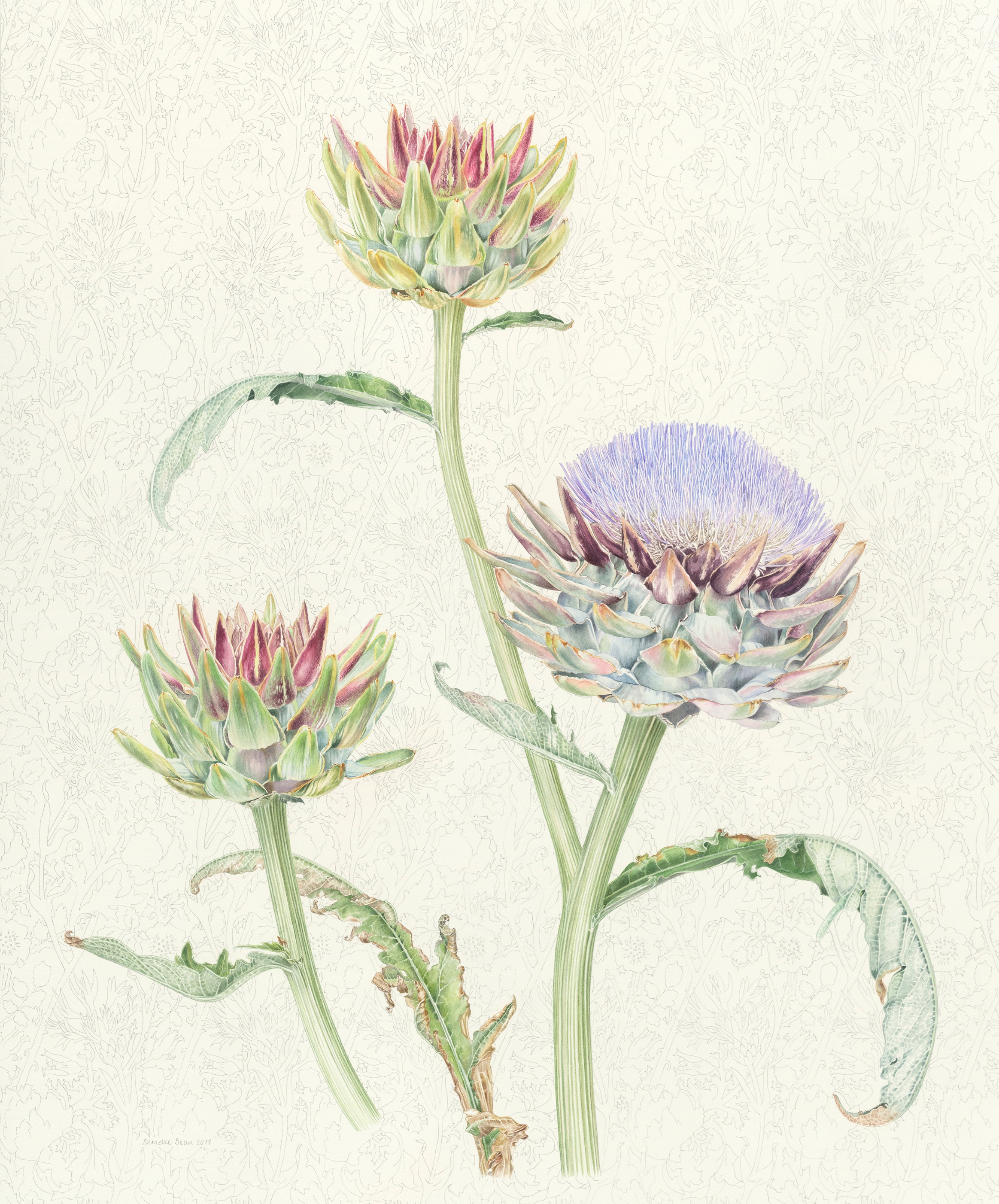Artichoke flower