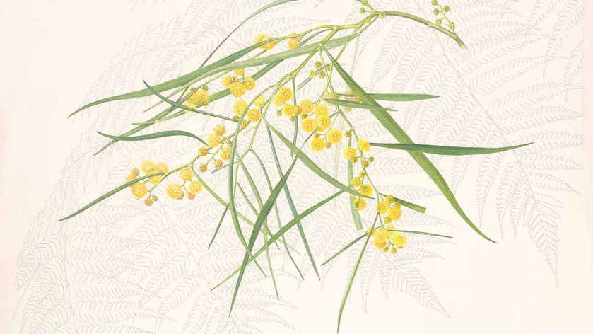 A picture of the artwork.