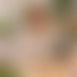 Indépendant débordé qui cherche à avoir plus de clients