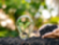 planter des arbres beaujolais.webp