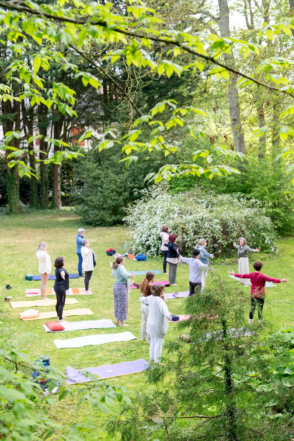 Cours de yoga féminin au cœur de la nature – photo bien-être signée photographe professionnel.