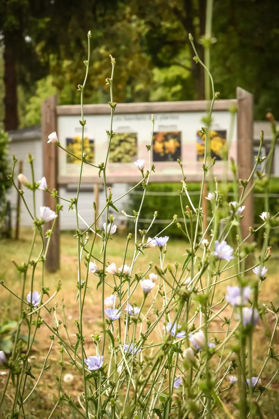 Extérieur_0027.webp