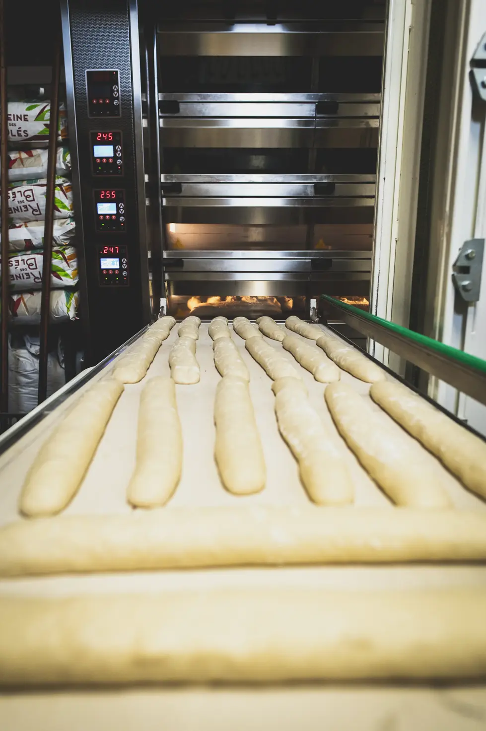 Photo Baguettes prêtes à être enfournées – image de process de fabrication pour communication professionnelle
