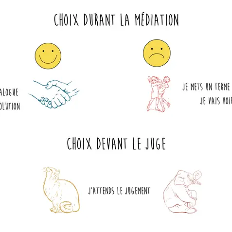 Choix durant la médiation