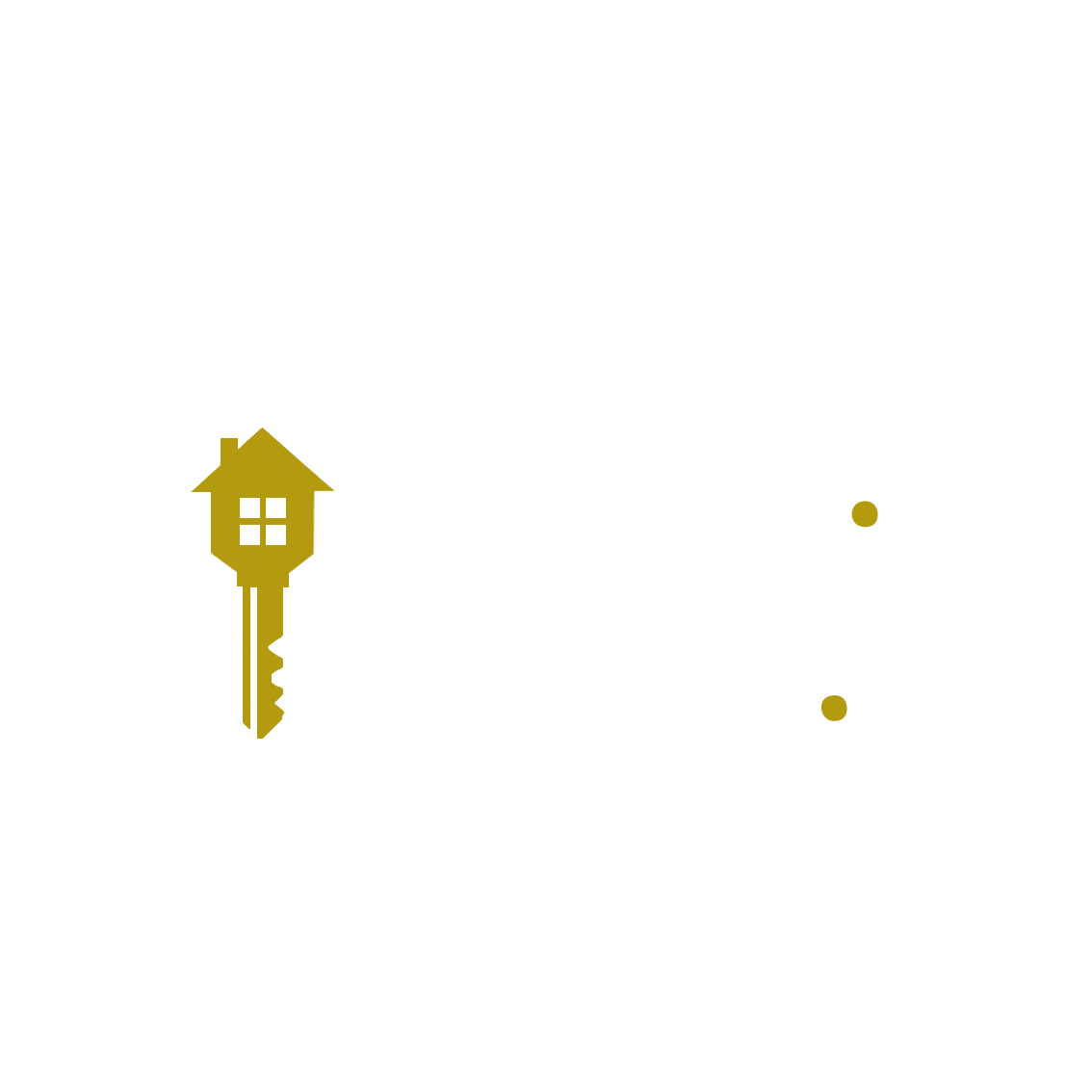 DS EXCEPTION - LOGO_blanc_fond foncé.png