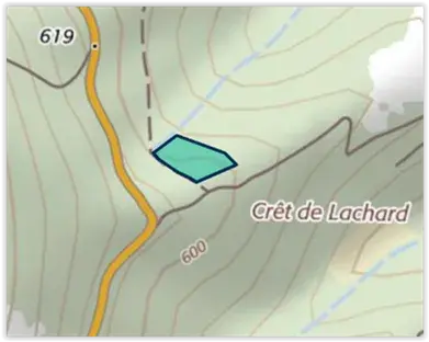 planter des arbres en fonction de la géographie
