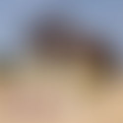 L’esprit équestre : une inspiration pour un transport fondé sur la confiance