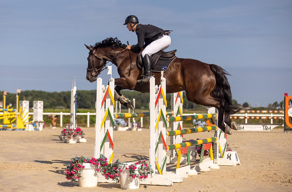 L’esprit équestre : une inspiration pour un transport fondé sur la confiance