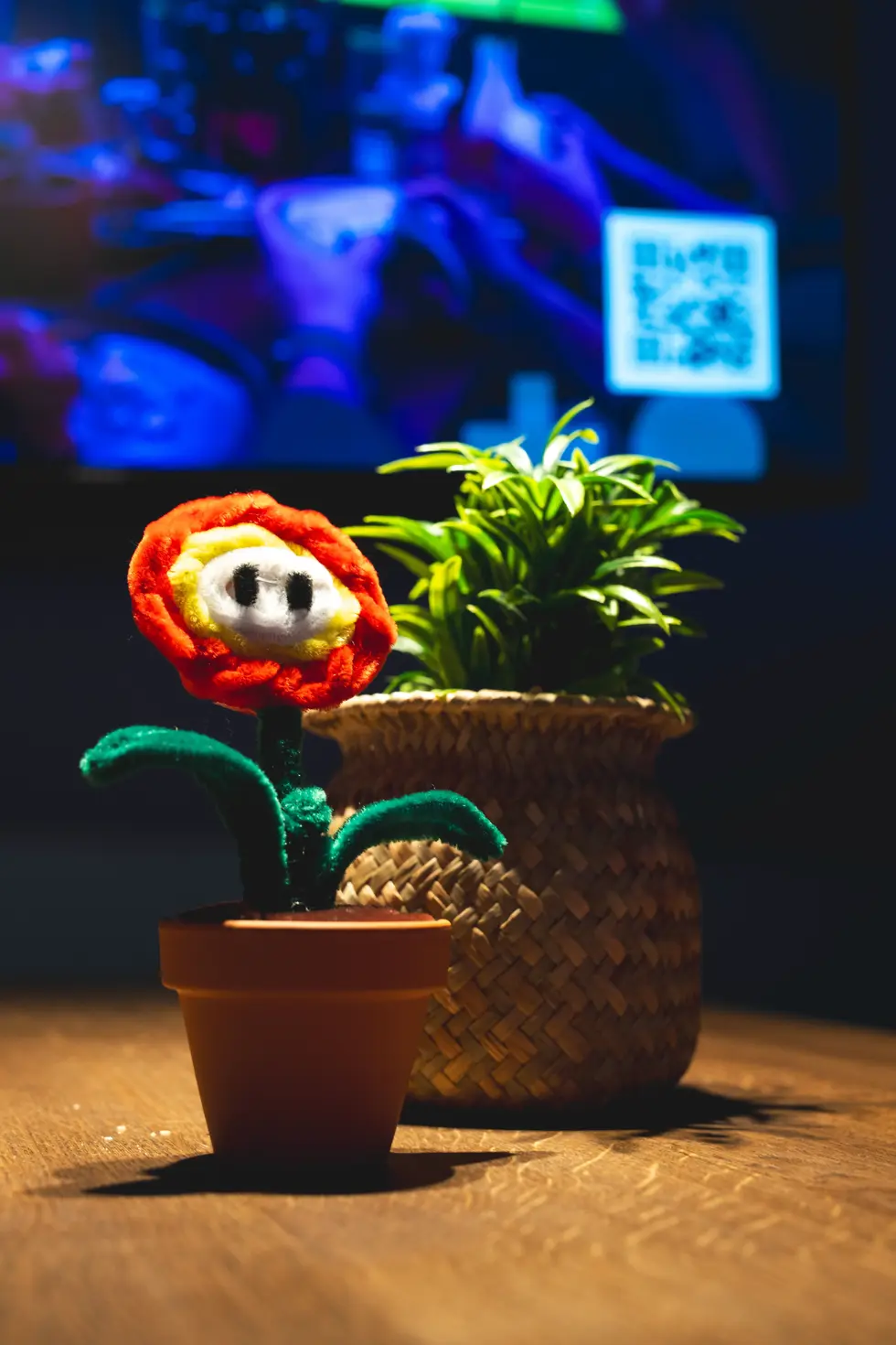 Focus sur la décoration originale avec fleurs en laine et plante verte, capturé par un photographe de contenu média.