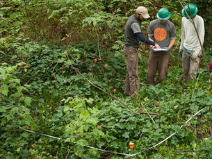 GSP Long-Term Monitoring Tells a Story of Improving Forest Health