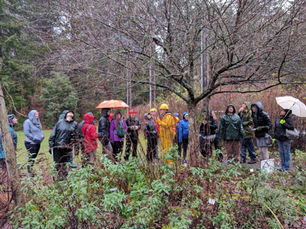 Forest Stewards Learn in the Classroom and in the Field