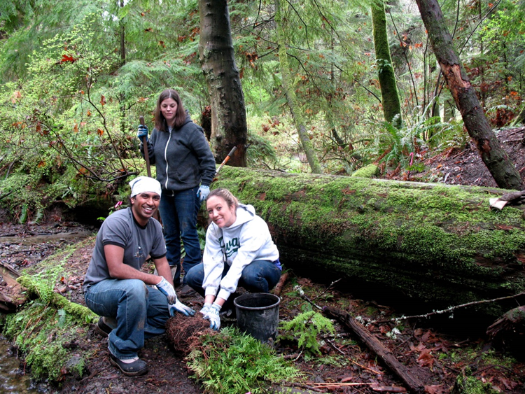 So it grows – updates from the GSP Forest Monitoring Program