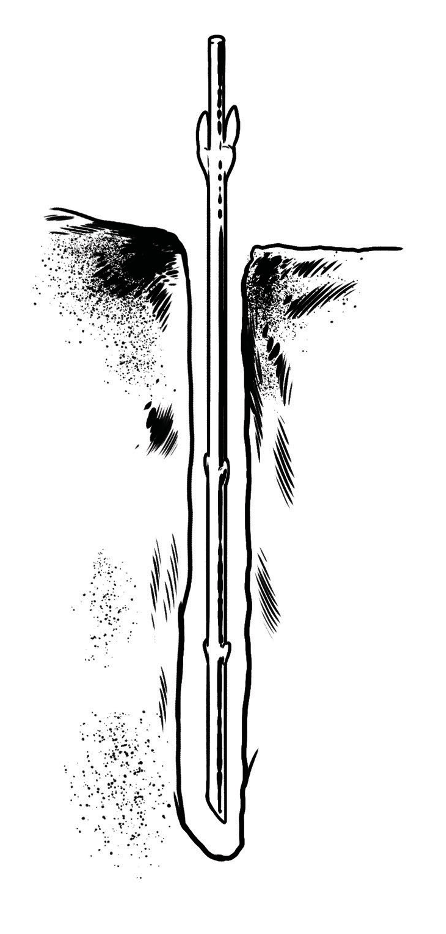 Illustration of how to install live stakes