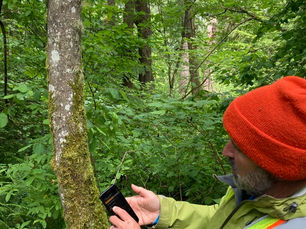 Caring and Cooling: Seattle’s Forests in a Warming World