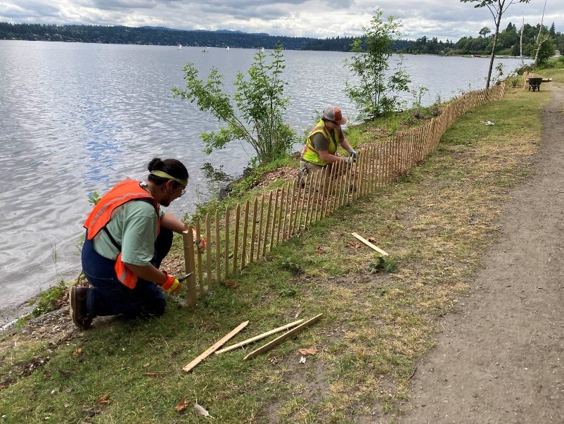 Cool down in nature this summer: Green Seattle Partnership’s favorite parks!