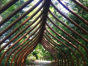 Habitat Highlight: Longfellow Creek