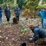 East Duwamish Greenbelt_007