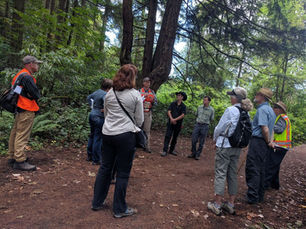 Stewardship motivations, from the local to global