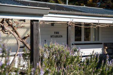 Exterior view of The Stables cottage with lavender grove at St Leonards Vineyard Cottages in Marlborough, New Zealand