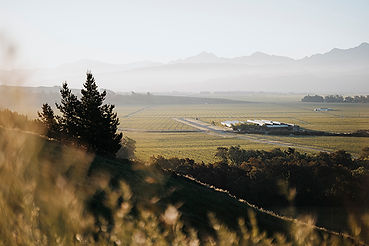 Spy Valley winery and cellar door is surrounded by vineyards in Marlborough