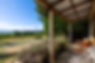 Vineyard view from front porch of the Winemakers Cottage at St Leonards Vineyard Cottages boutique accommodation in Marlborough, New Zealand