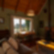 View of vineyard from inside lounge in the Winemakers Cottage at St Leonards Vineyard Cottages boutique accommodation in Marlborough, New Zealand