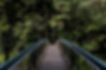 kfl-background.jpg