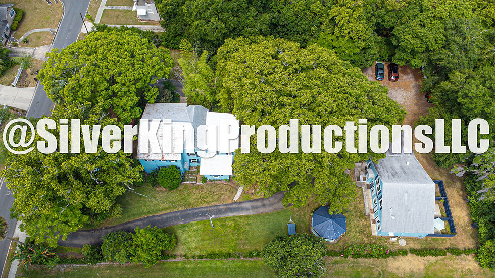 Thumbnail: 1029 E 5th Ave, Mt Dora Aerial Photos
