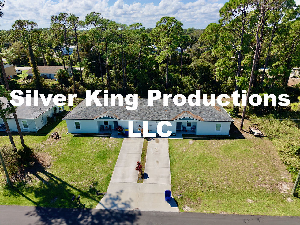 Thumbnail: 2518 Fern Palm Dr, Edgewater (33 Drone Photos)