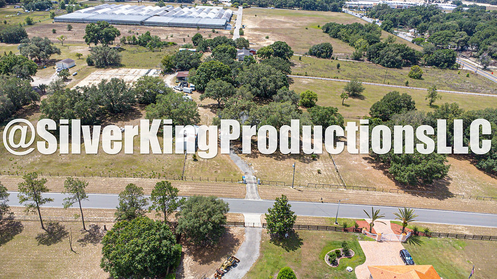 Thumbnail: 2850 Dowman Dr, Apopka Aerial Photos