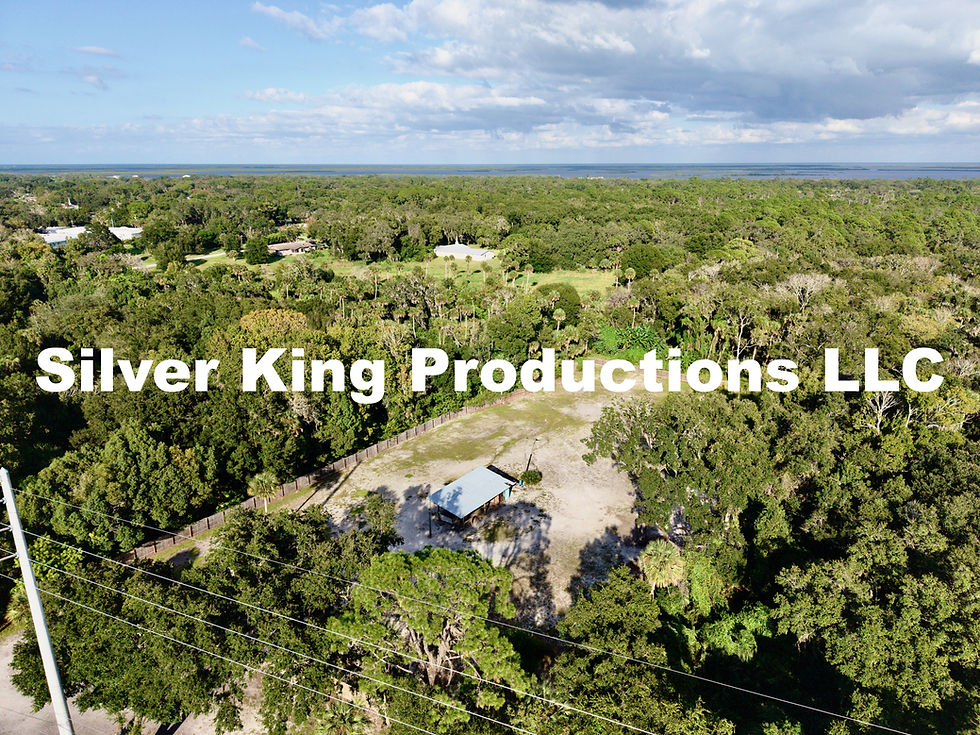 Thumbnail: 251 S Us Highway 1, lot 3, Oak Hill (37 Drone Photos)