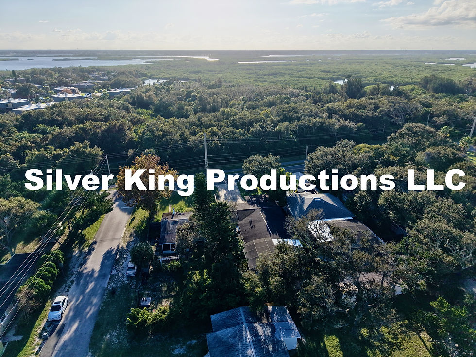 Thumbnail: 3509 Saxon Dr, New Smyrna Beach (27 Drone Photos)