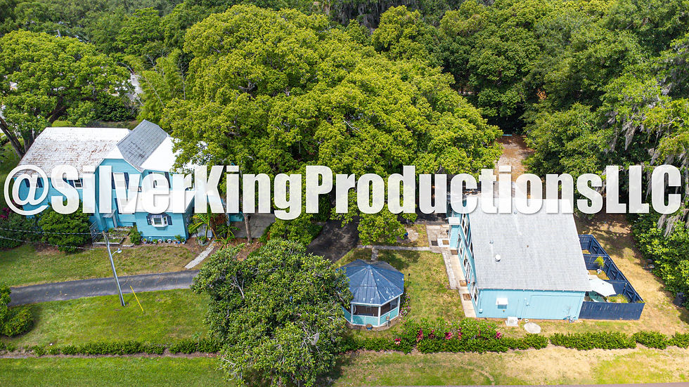 Thumbnail: 1029 E 5th Ave, Mt Dora Aerial Photos