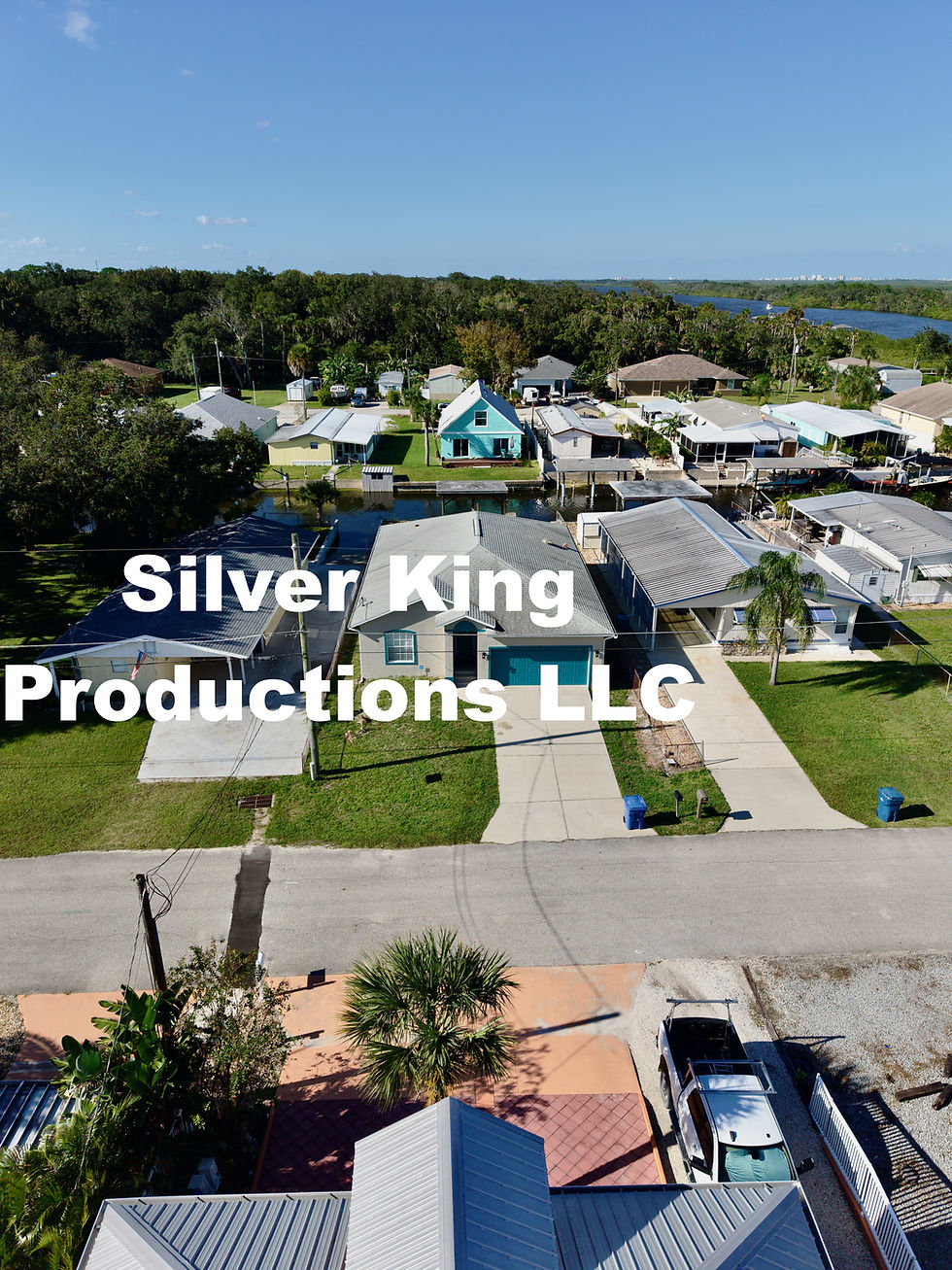 Thumbnail: 175 Charles St, Edgewater (42 Drone Photos + 1 Orbital Video!)