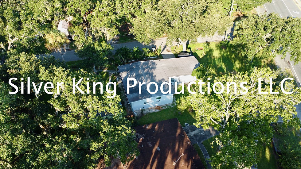 Thumbnail: 104 Fran Drive, New Smyrna Beach (18 Drone Photos)