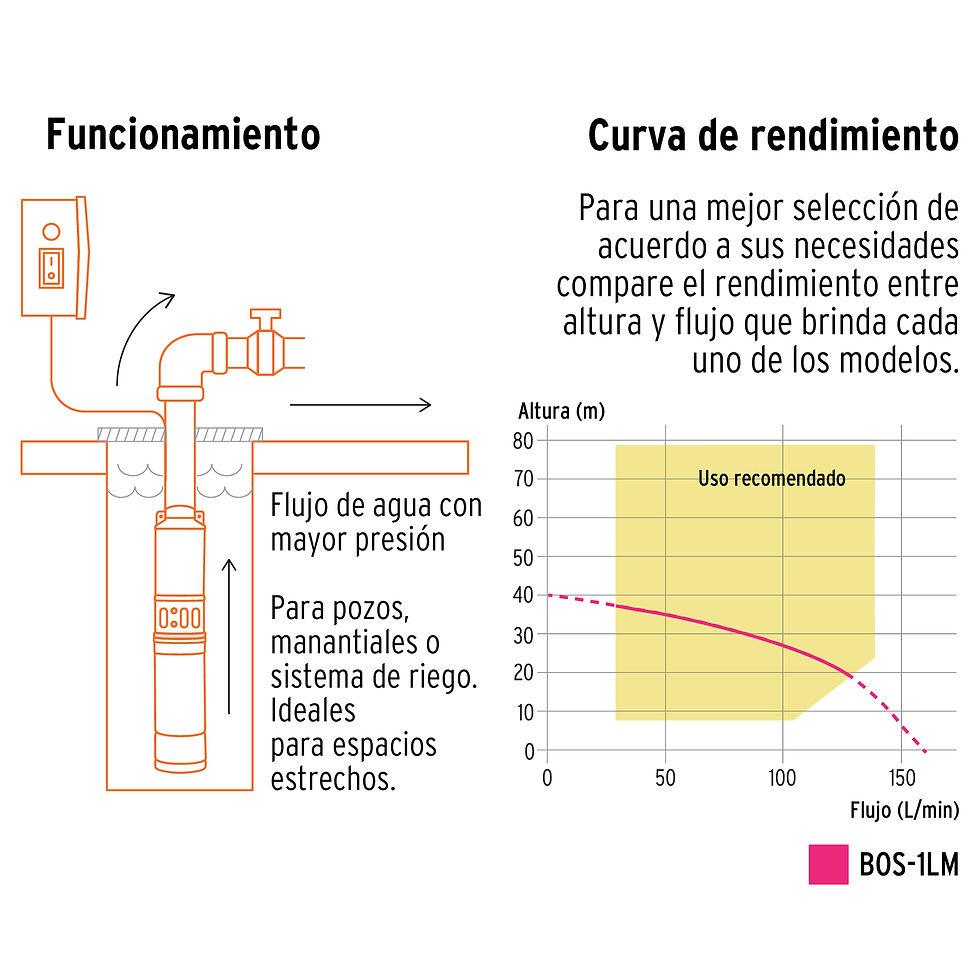 Miniatura: Bomba sumergible tipo bala 1 HP