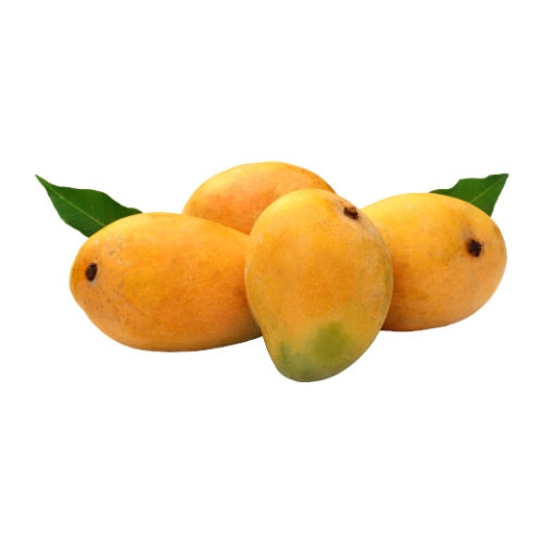 Mango (Chousa Aam-আম)