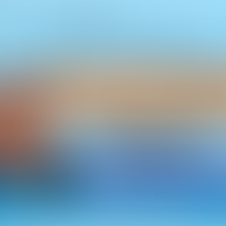 Aniversário do padre Tomé da silva