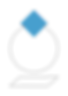 ICON Commitment to Excellence 1.png